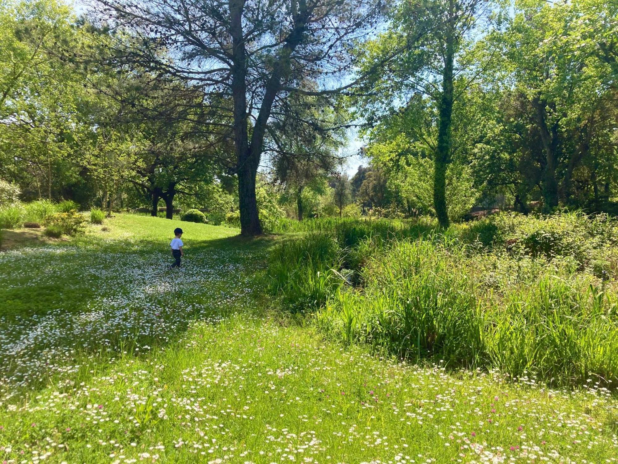 Les Restanques Vue Mer Roses 1070 Rez De Jardin Grimaud Dış mekan fotoğraf